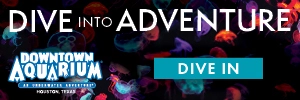 houstonaquariumtile.webp
