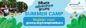 ncgirlscoutstile2.webp